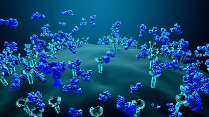 Antibodies block a virus from entering a body cell, Immune system defends the body against infections and diseases - Powered by Adobe