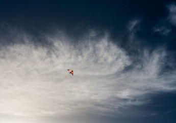 kite in the sky