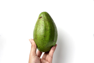 Avocado fruit 