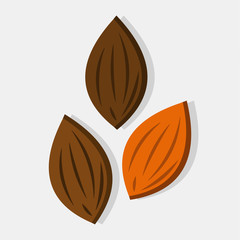 almond fruit vector illustration in flat style