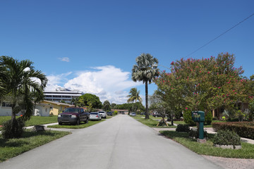 Street in a quiet area of the big city and vehicles parked in front of homes.