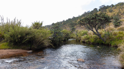 cold misty hortan plains lake landscape photo