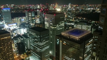 Fototapeta na wymiar Tokyo capitale du japon