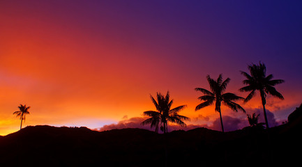 Obraz na płótnie Canvas Sunset in tropico 2