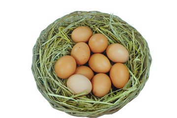 eggs isolated on white background