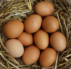 background of fresh eggs for sale at a market