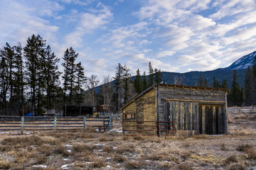 Abandoned weathered barn, surrounded by field and a forest near rocky mountains British Columbia Canada.
