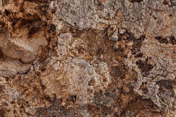 The surface of natural dark gray stone. Close-up. Background. Space for text.