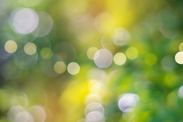Obraz premium Selective green nature leaf with sunlight bokeh background.Vintage color tone style.