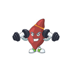 Fitness exercise liver cartoon character using barbells
