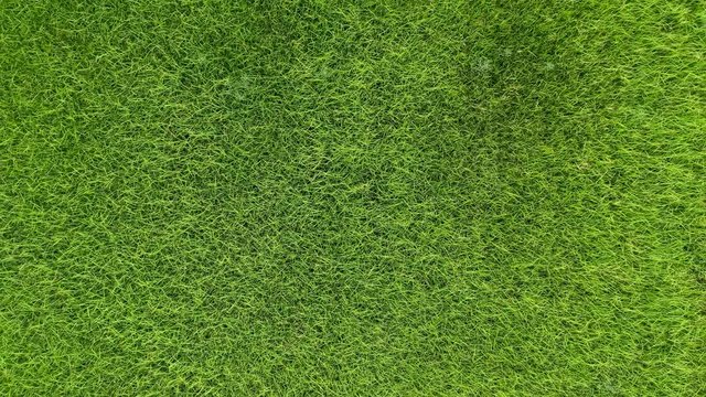 green grass texture lift up by drone
