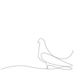 Bird on white background, vector illustration 