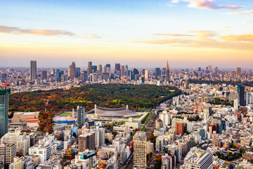 Scenic Aerial view of Shinjukugyoen Park in Autumn with Skyscraper Buildings of Shinjuku District Background, Tokyo, Japan