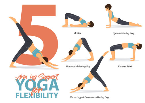 Infographic of 5 Arm and Leg Support  Yoga poses for Easy yoga at home in concept of flexibility in flat design. Woman is doing exercise for body stretching. Set of yoga at home infographic . Vector.