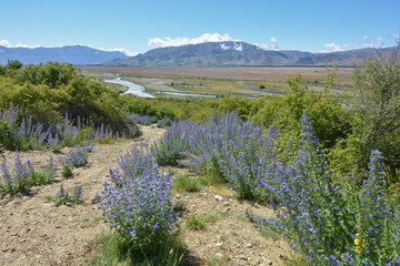 Obraz premium View of the river valley near Omarama, New Zealand