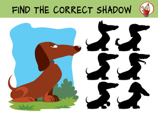 Dachshund. Funny small dog. Find the correct shadow. Educational matching game for children. Cartoon vector illustration