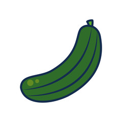 vegetables and fruits concept, cucumber icon, line and fill style