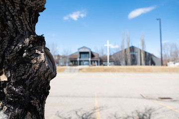 Church building with cross blurred behind tree