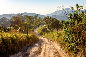 road to the mountains