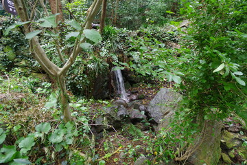 韓国　済州島　天帝淵瀑布