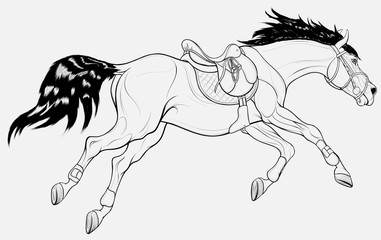 Running horse equipped for show jumping practice. Steed wears sport saddle, English bridle and splint boots.  Stallion gallops with legs stretched out. Vector linear clip art for equestrian clubs.