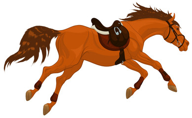 Running sorrel horse equipped for show jumping practice. Steed wears sport saddle, English bridle and splint boots.  Stallion gallops with legs stretched out. Vector emblem for equestrian clubs.