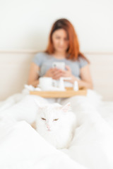 A woman is sitting in bed with a mobile phone in her hands. A white cat lies at the feet of the mistress with a cold. A girl with seasonal flu is texting on her mobile phone.