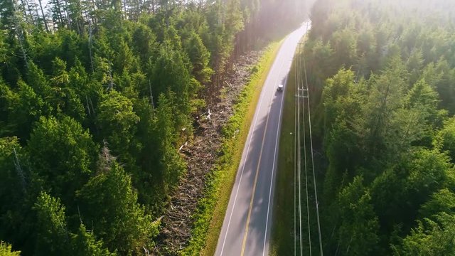 Aerial overhead reveal of car traveling on coastal road, with dense wilderness and ocean, sun is setting. West Coast coastline. West Coast, Tofino, Vancouver, Canada.