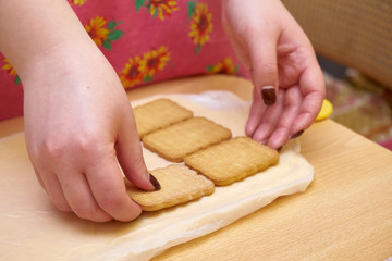 Dip in milk and spread cookies. Cooking cake 