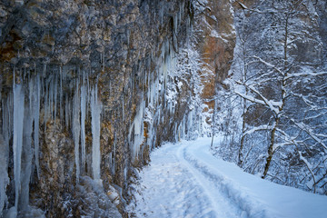 Icicles on the rock. Frozen waterfall in winter.