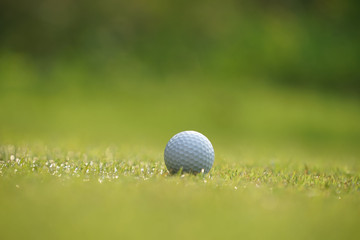 Problems and obstacles of the golfer.