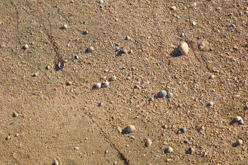 Picture of a sandstone shell.