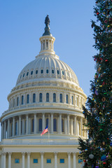 Obraz premium Kapitol Stanów Zjednoczonych z flagami USA przy połowie personelu, budynek Kapitolu Narodowego Waszyngton, USA