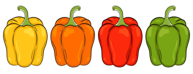 Poivrons (jaune, orange, rouge, vert). Illustration vectorielle sur fond blanc