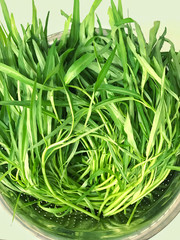 Water spinach, Raw morning glory in bowl 