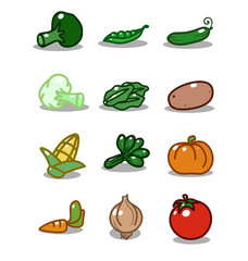 vector icon set of different vegetables isolated