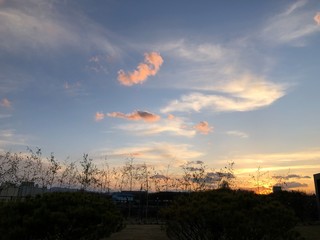 sunset in the city