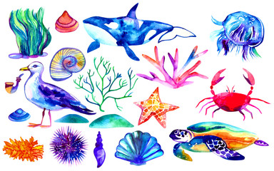 Fototapeta premium Set of watercolor underwater animals and seaweed includes whale, turtle, crab, jellyfish. Illustration isolated on white background
