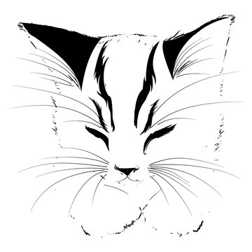 The Vector logo cat for tattoo or T-shirt design or outwear. Cute print style cat. Sleeping animal.