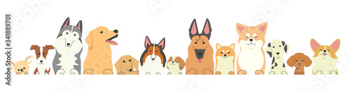 前足を乗っけているいろいろな種類の犬たちの列 Wall Mural さんいんち