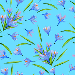Floral seamless print with crocus flowers on a blue background, delicate watercolor pattern.