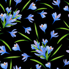 Fototapeta na wymiar Floral seamless print with crocus flowers on a black background, delicate watercolor pattern. 