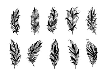 Obraz premium Set of peerless decorative feather illustration