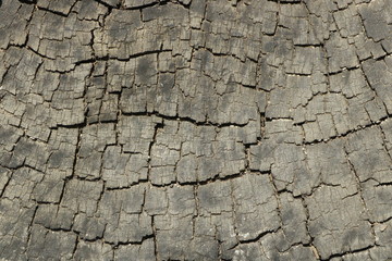 A cracked wooden background