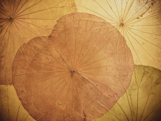 Paper made from dyed lotus leaves in brown tones for decoration or as a background.