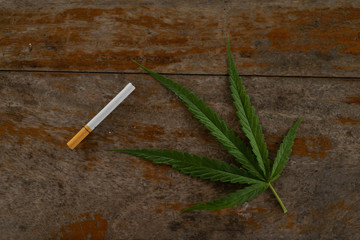marijuana and cigarette, cigarette,drugs concept