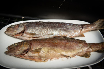 Pair of grilled trouts on a white plate