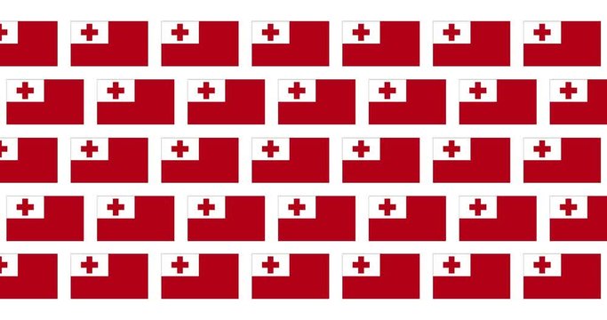 Tonga Flag Loop Background