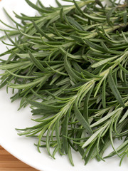 ハーブ　ローズマリー