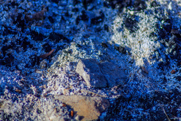 The horizontal photo shows the image of coals and ashes from a once-burning fire. The sun shines on the ashes and coals